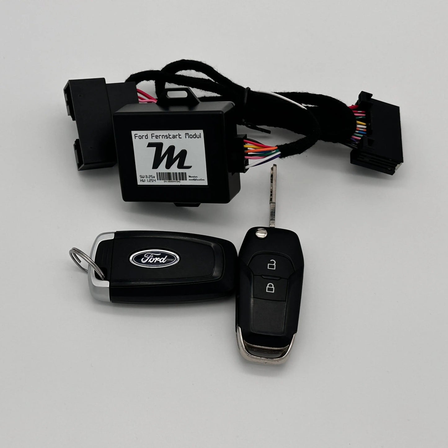 Ford Fernstart Modul